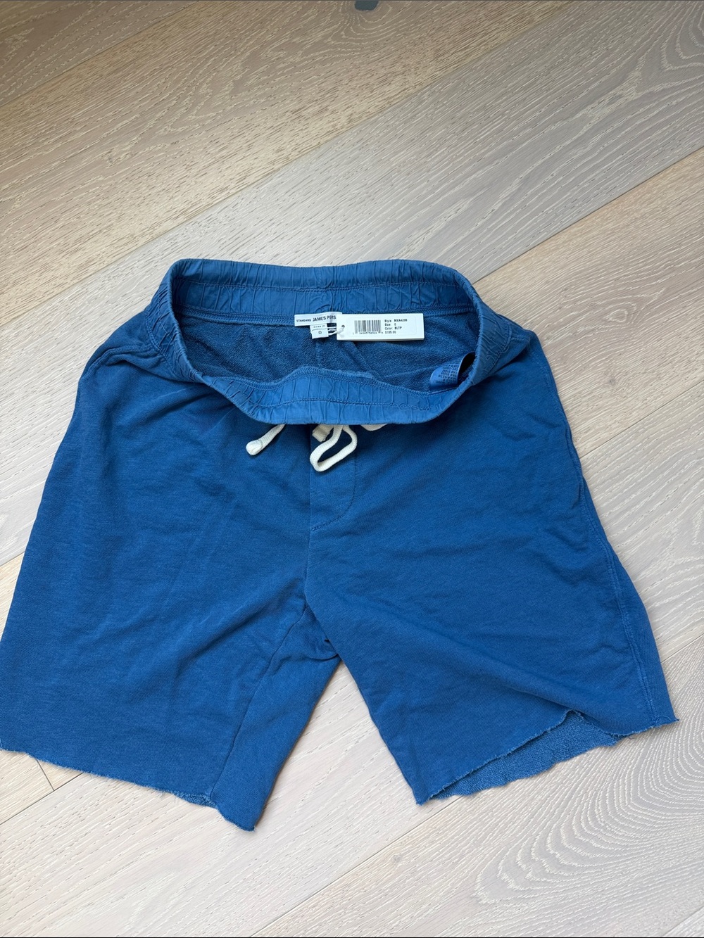 James Perse Men's Blue Casual Drawstring Shorts